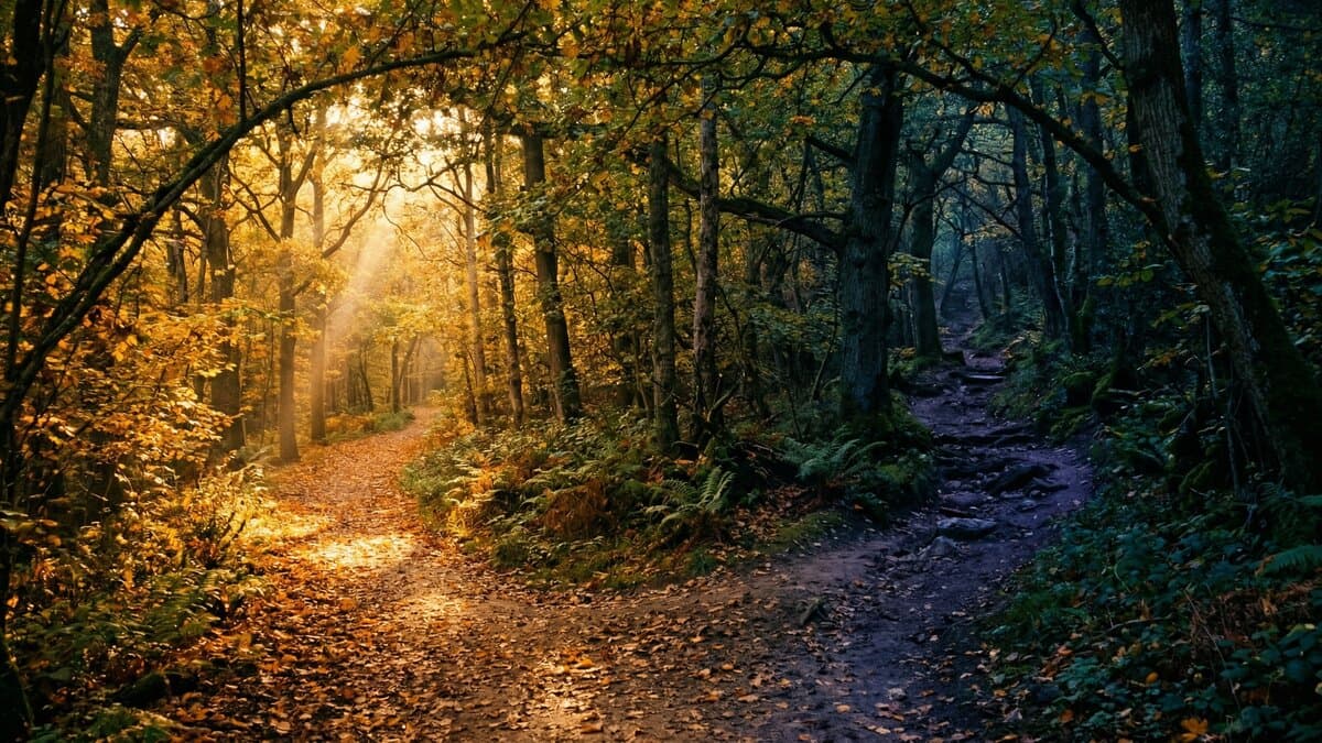 AI SEO vs Traditional SEO: Which Delivers Better ROI in 2025?