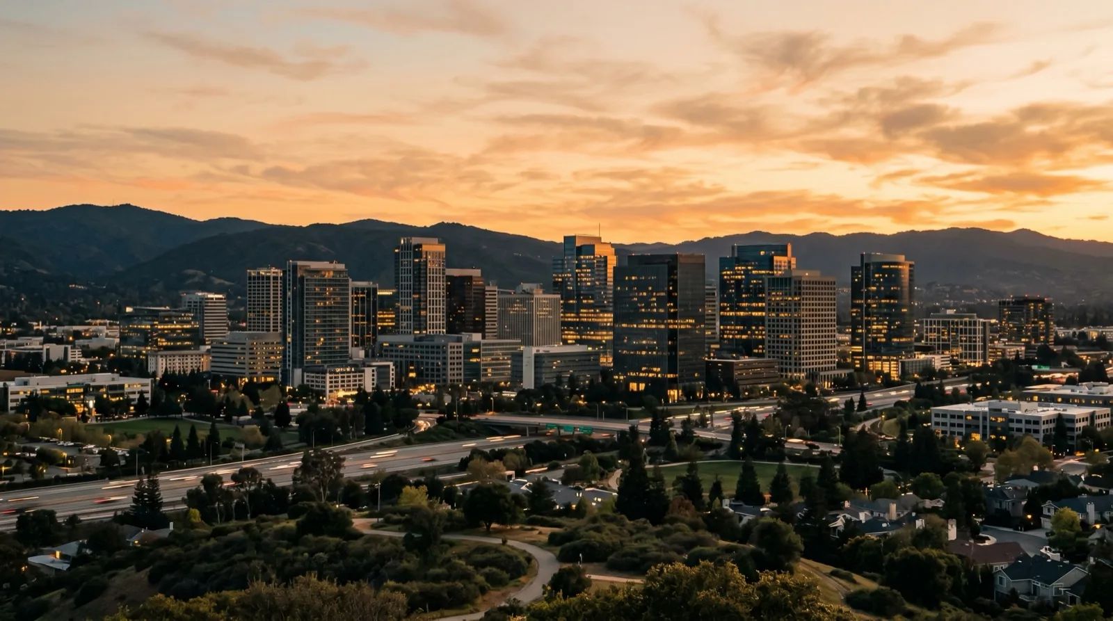 AI growth services for California